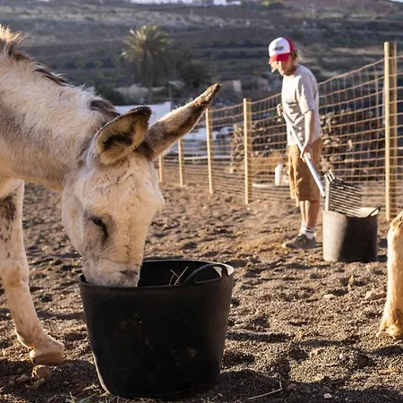 Hektor - Farm, Arts & ベッド・アンド・ブレックファスト 4*