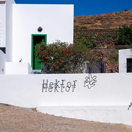 Hektor - Farm, Arts & Teguise (Lanzarote)