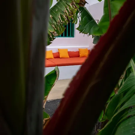 Hektor - Farm, Arts & Bed & Breakfast *