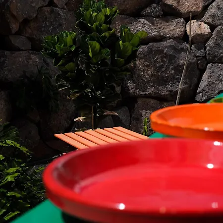 ベッド・アンド・ブレックファスト Hektor - Farm, Arts &