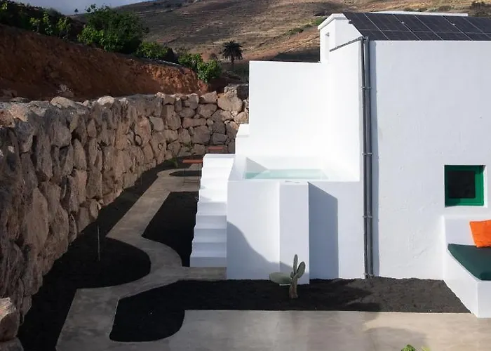 Hektor - Farm, Arts &