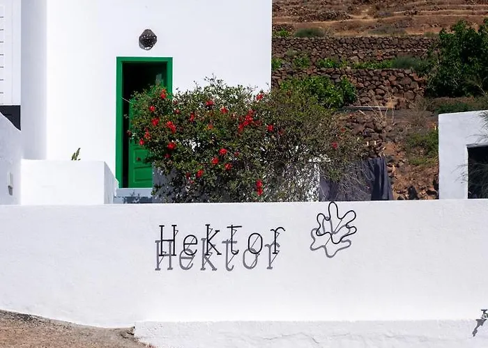 Hektor - Farm, Arts & 特吉塞