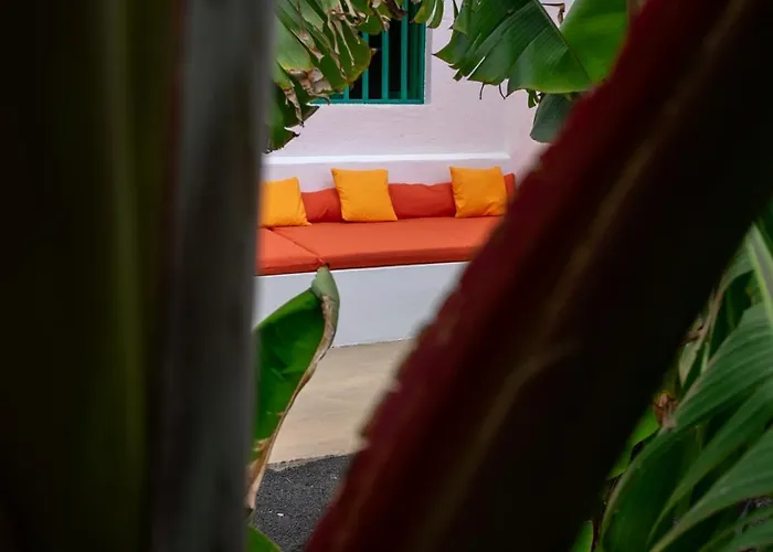 Hektor - Farm, Arts & 住宿加早餐酒店 4*