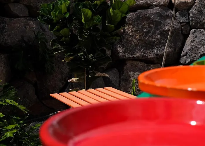 住宿加早餐酒店 Hektor - Farm, Arts &